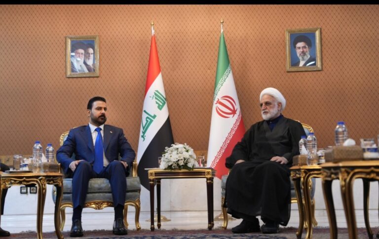 الزيدي : يلتقي رئيس السلطة القضائية في طهران
